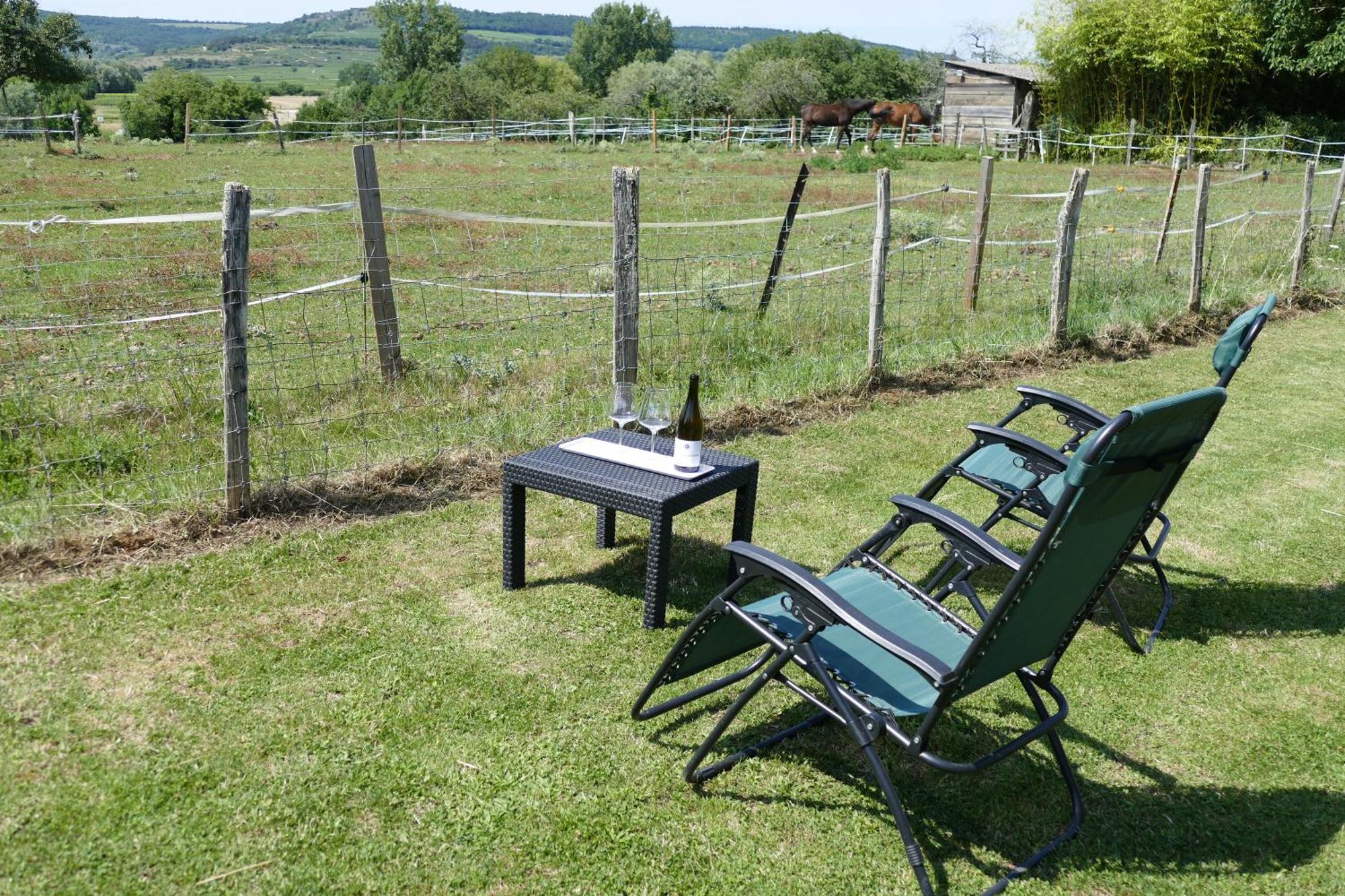 Les Grands Crus - Gite Meursault Corpeau Exterior photo